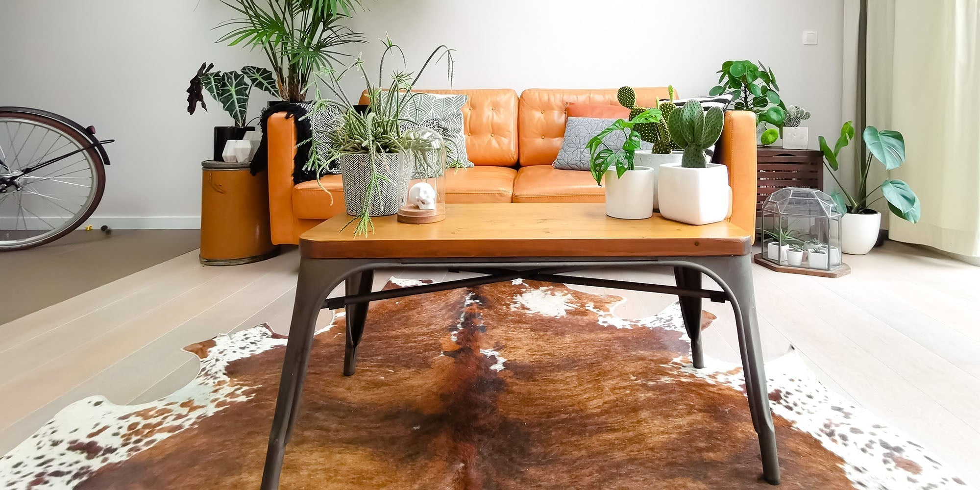 Using-Cowhide-Rugs-to-Decorate-Style-Your-Home DecoRug