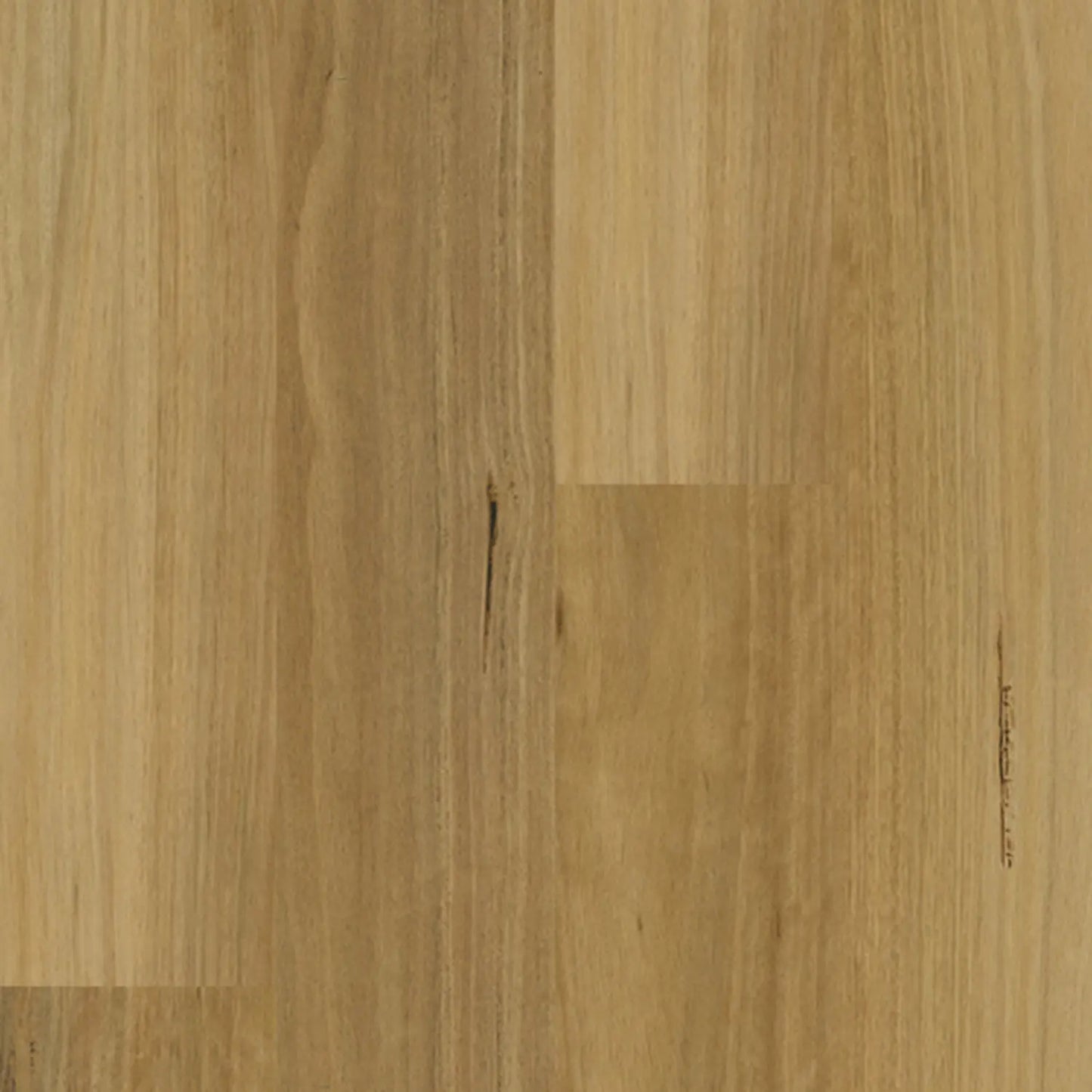 Apollo Hardwood Blackbutt Elegant Hybrid Godfrey Hirst