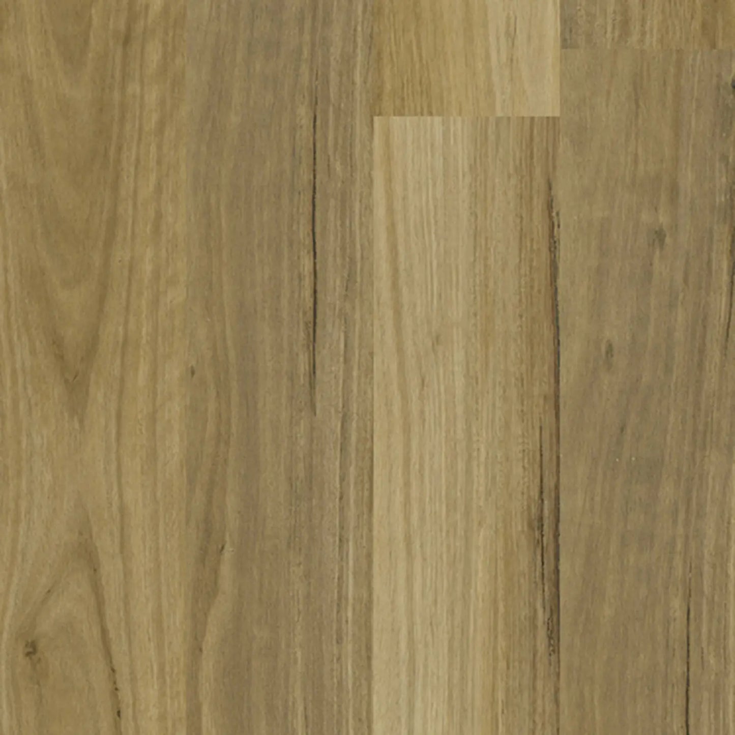 Apollo Hardwood Blackbutt Sandbank Hybrid Godfrey Hirst
