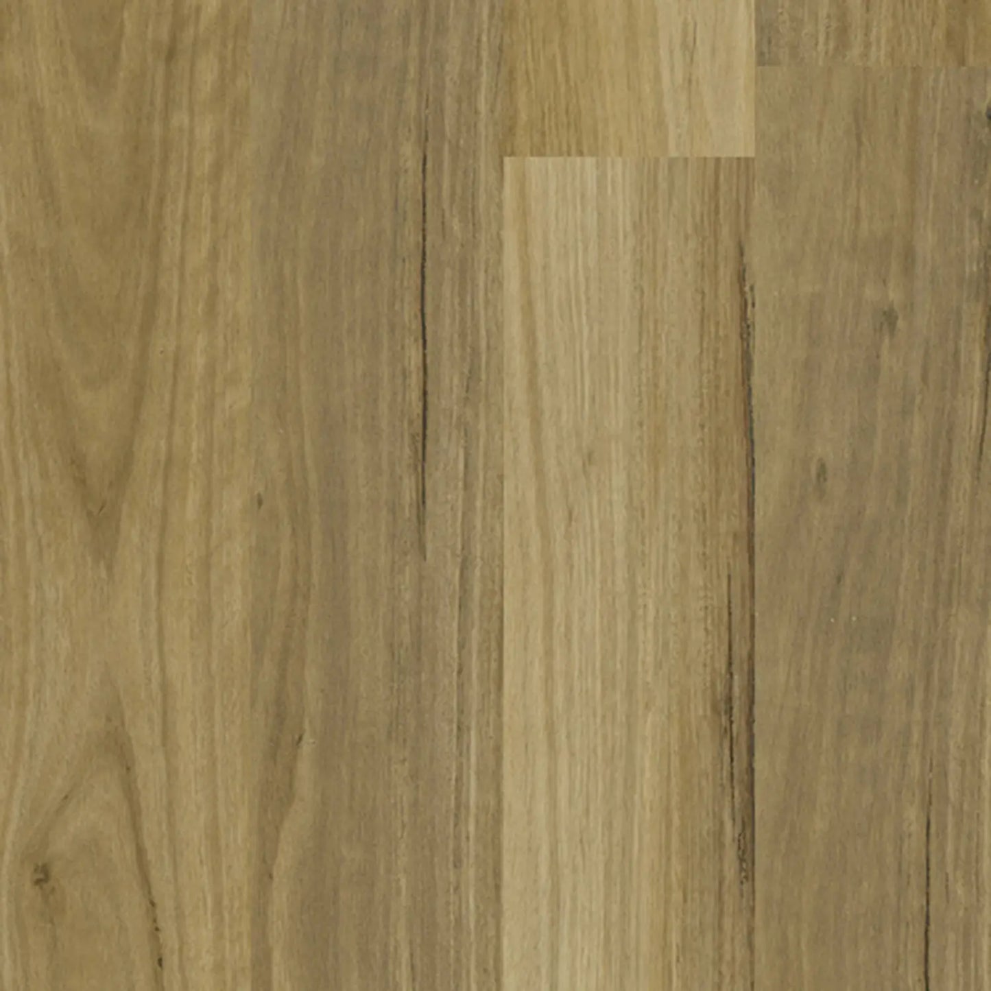 Apollo Hardwood Blackbutt Sandbank Hybrid Godfrey Hirst