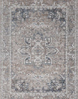 Baltimore Virginia Medallion Transitional Ash Rug - B07