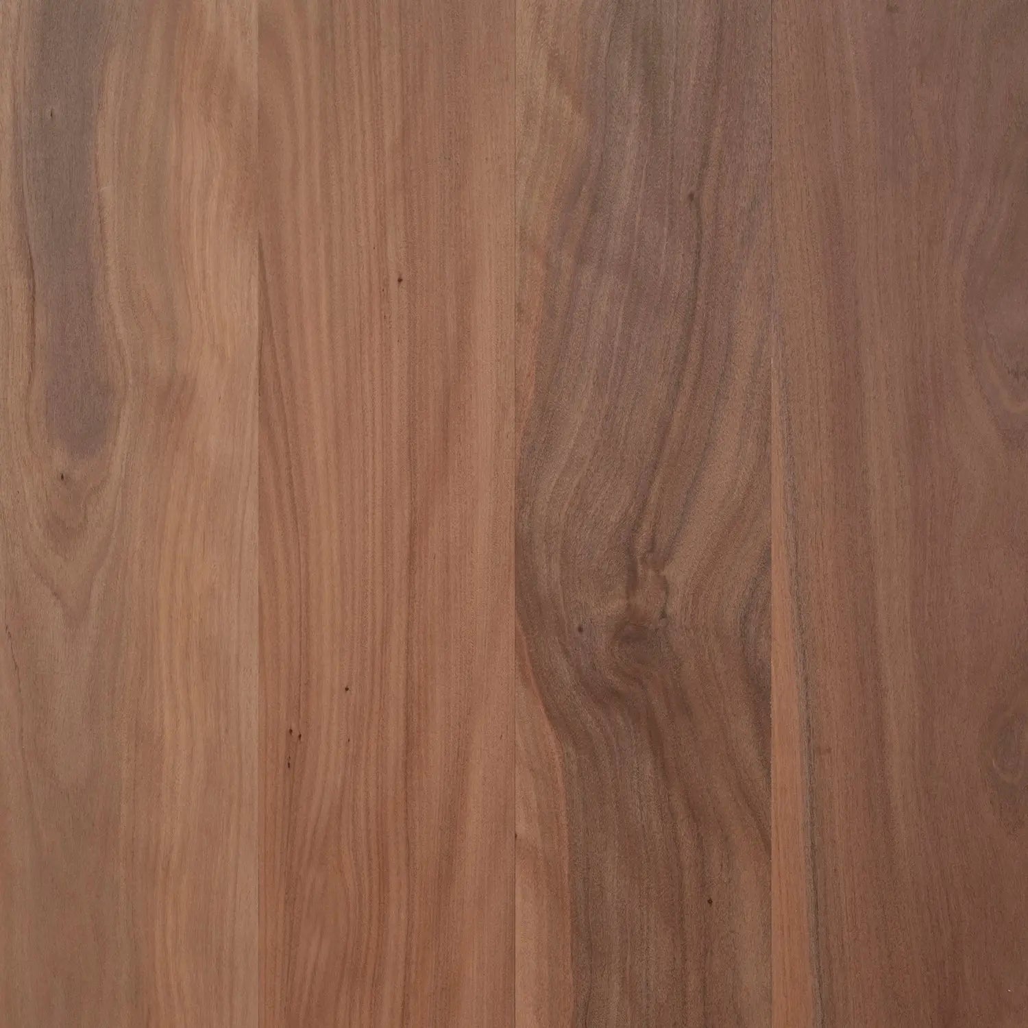 Brushbox Opulence Native Timber Flooring Australian Select Timbers