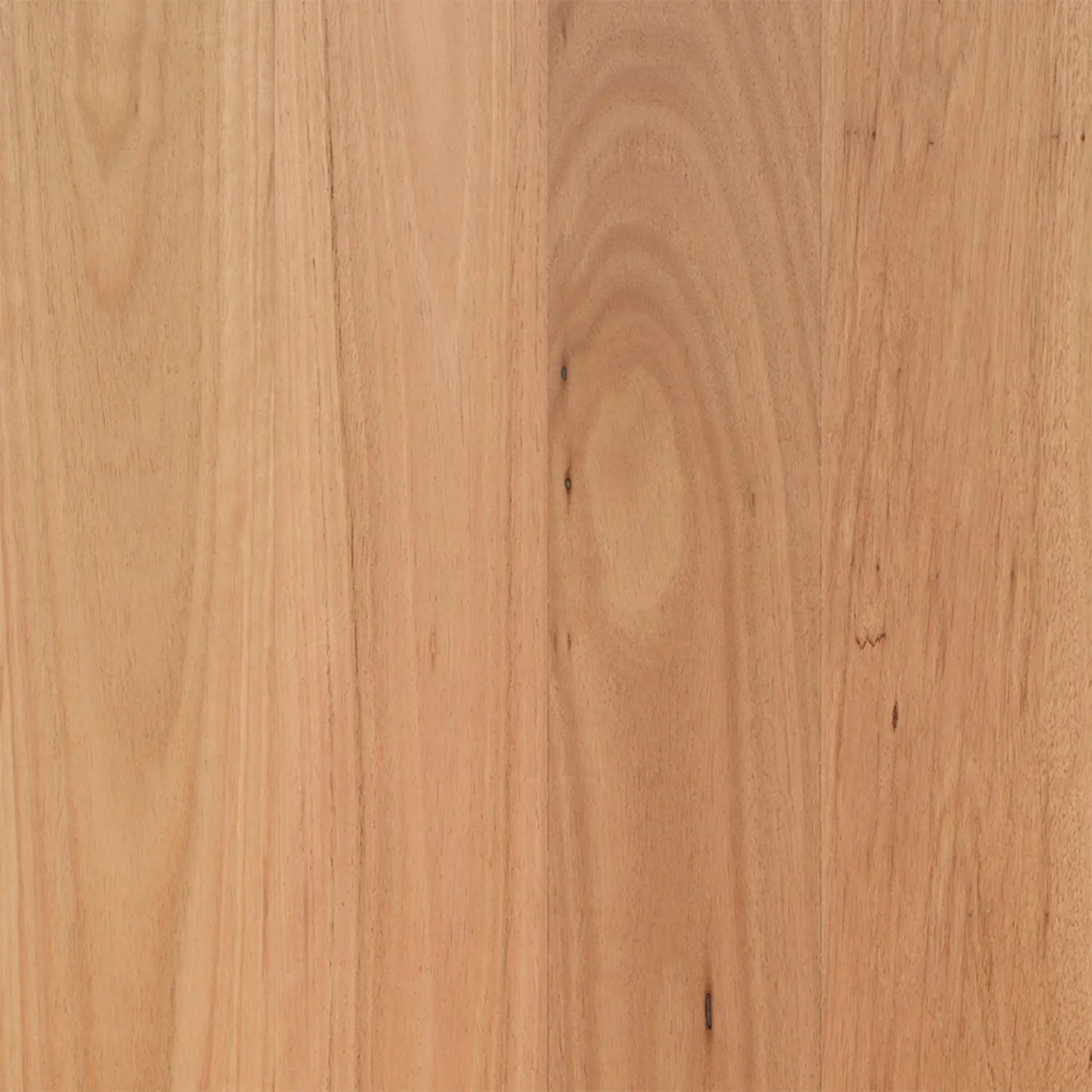 Coastal Blackbutt Opulence Native Timber Flooring Australian Select Timbers