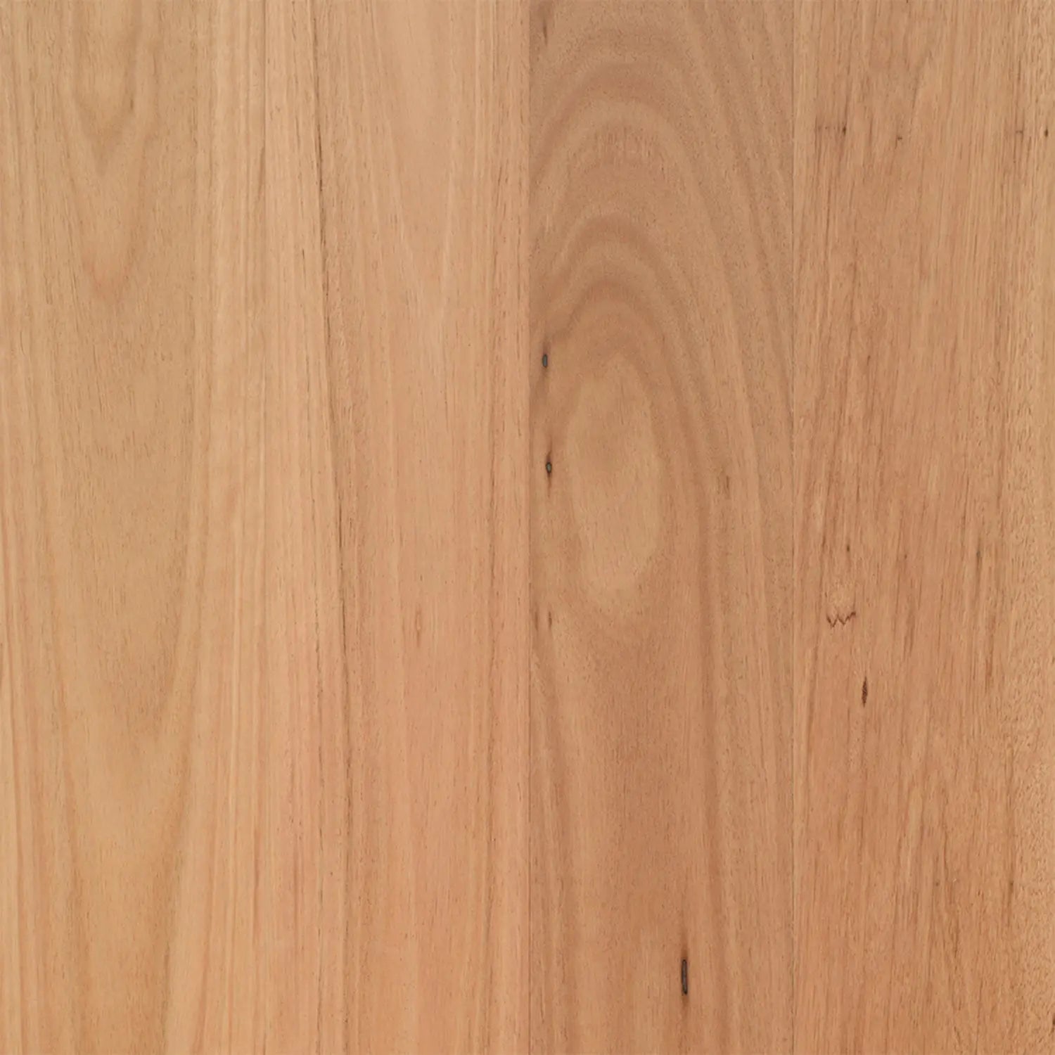 Coastal Blackbutt Opulence Native Timber Flooring Australian Select Timbers