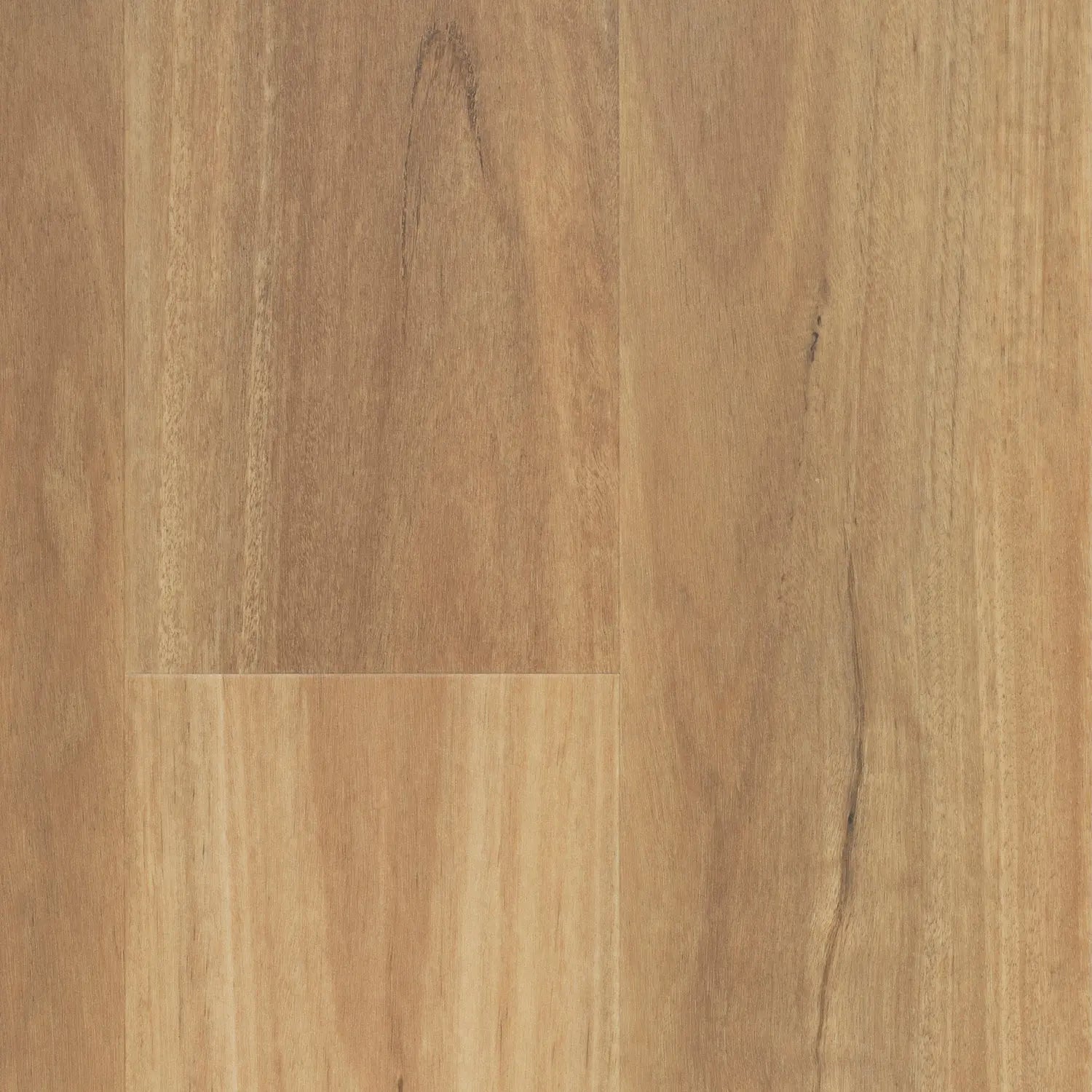 http://decorug.com.au/cdn/shop/files/New-England-Blackbutt-Nouvelle-Hybrid-Flooring-Australian-Select-Timbers-1685424187.jpg?v=1685424189