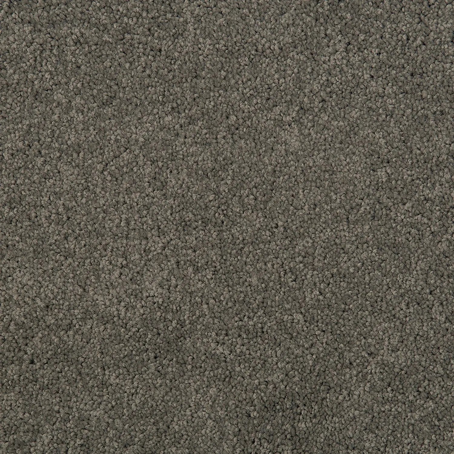 Point Peron Carpet Quest Carpets