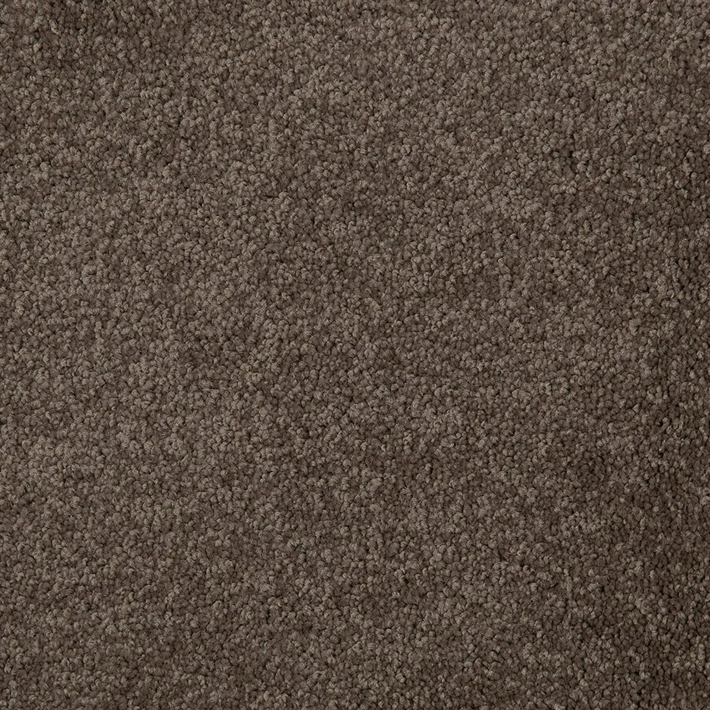 Point Peron Carpet Quest Carpets