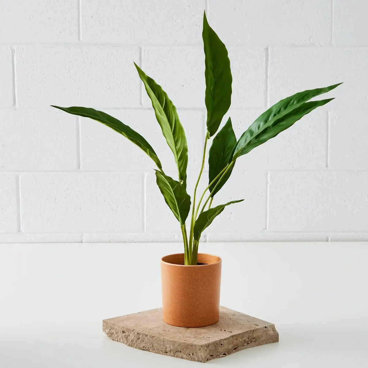 Real Touch Faux Plant in Ceramic Pot COAST
