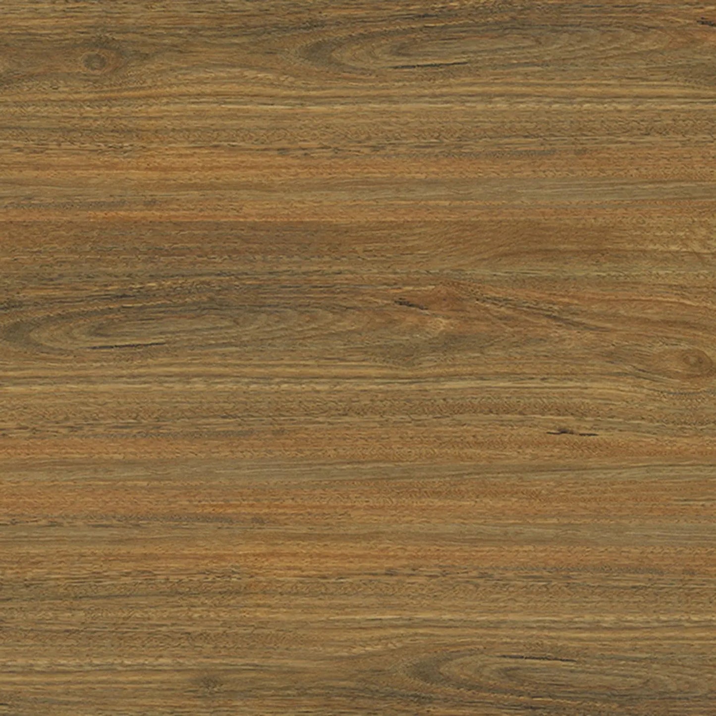 Vista Spotted Gum Laminate Flooring Godfrey Hirst