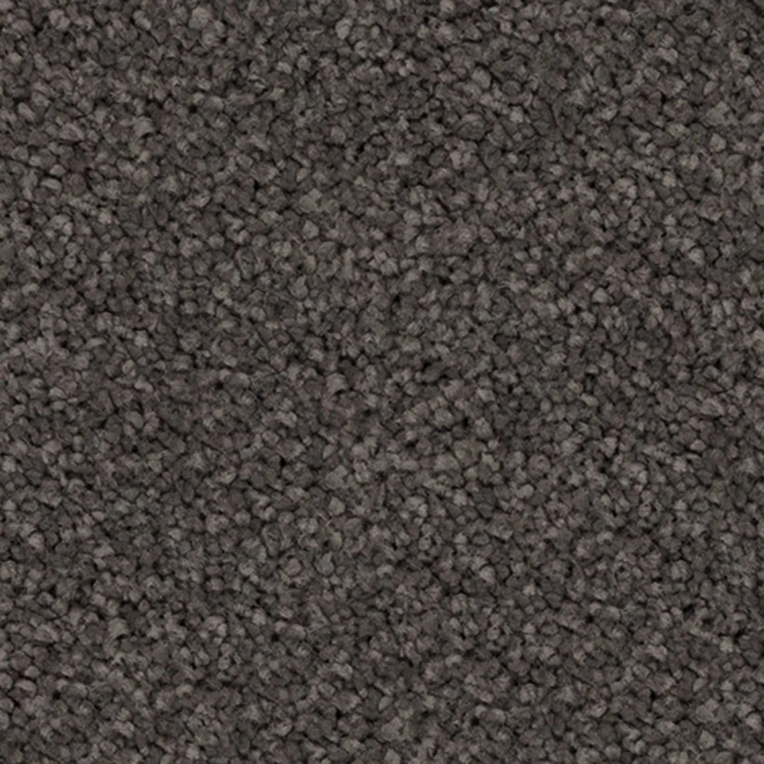Abbey Twist SDN Carpet Godfrey Hirst