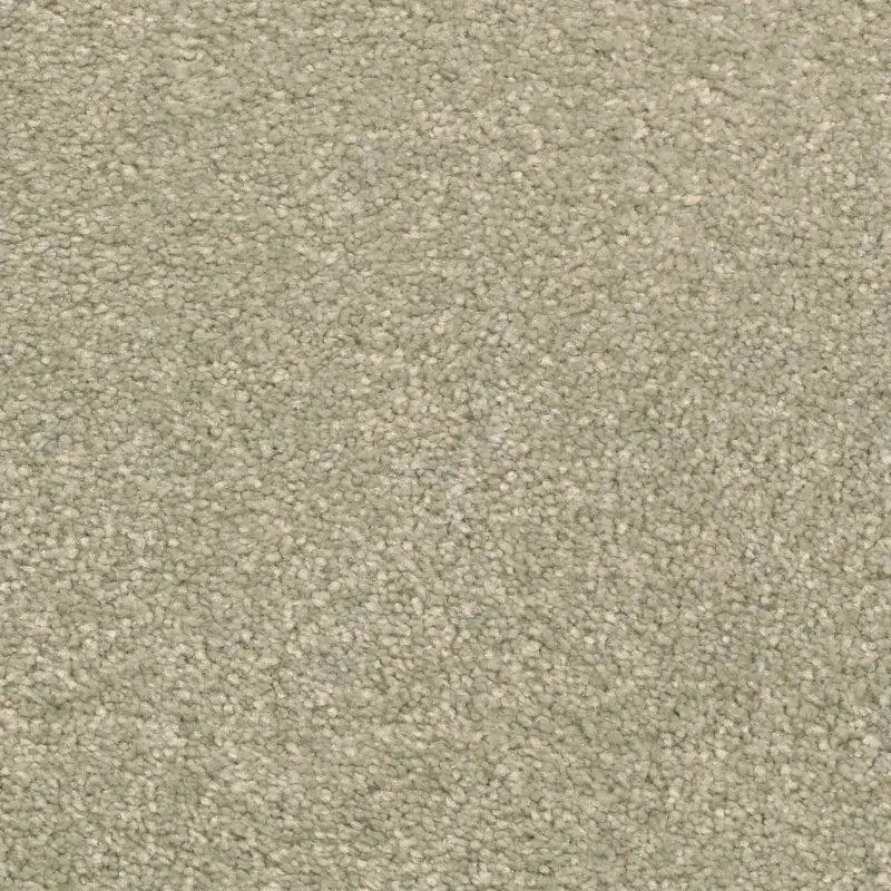 Avant Garde Carpet Signature