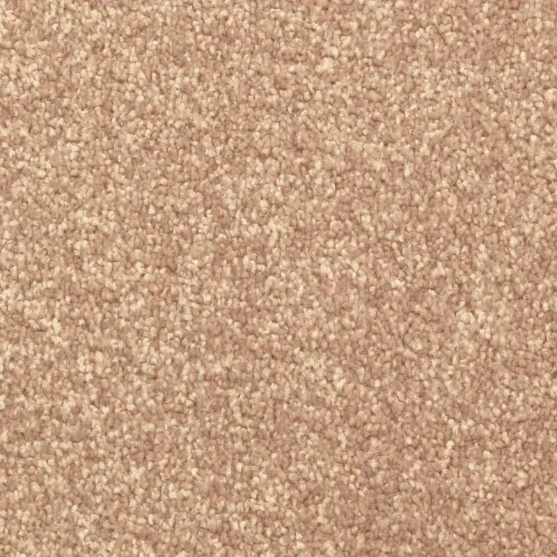 Avant Garde Carpet Signature