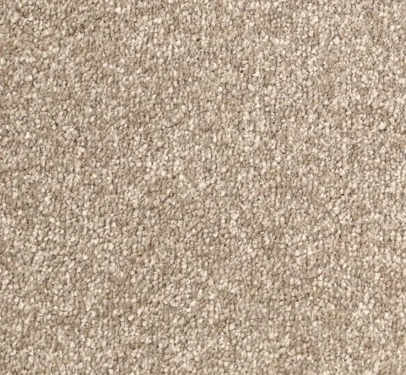 Avant Garde Carpet Signature