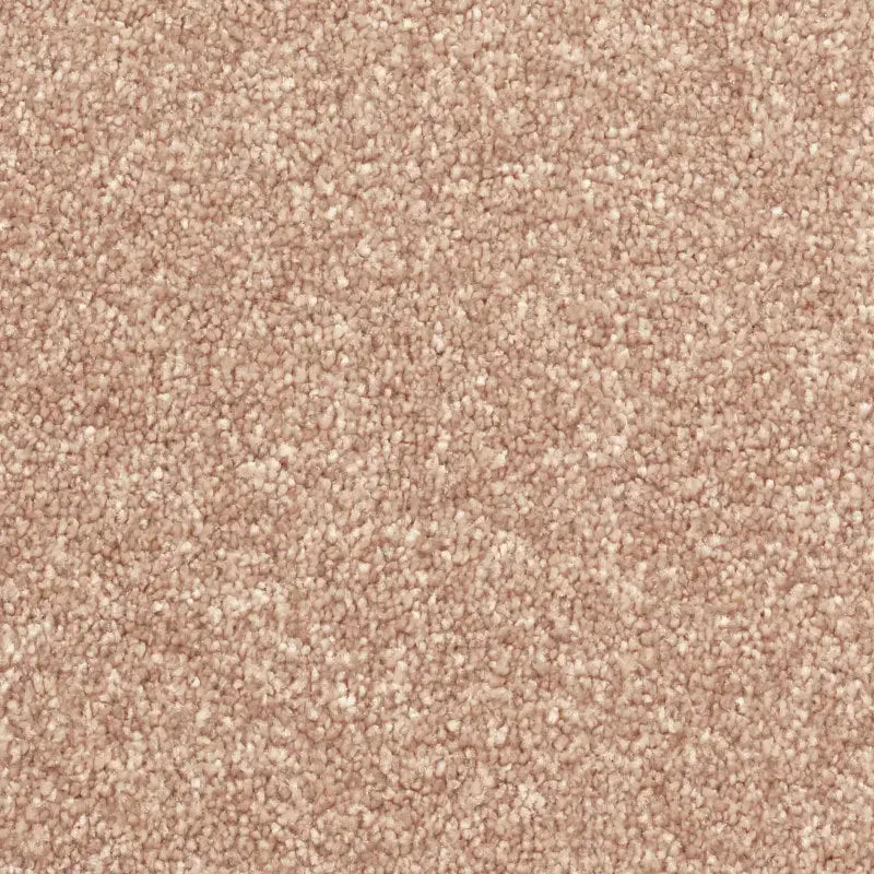 Avant Garde Carpet Signature