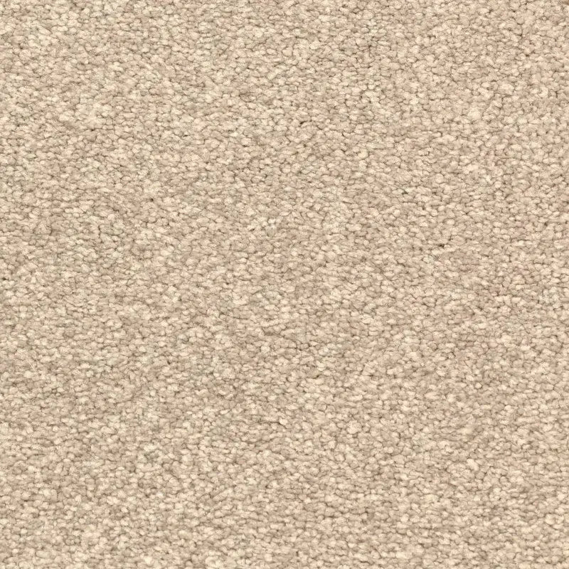 Avant Garde Carpet Signature