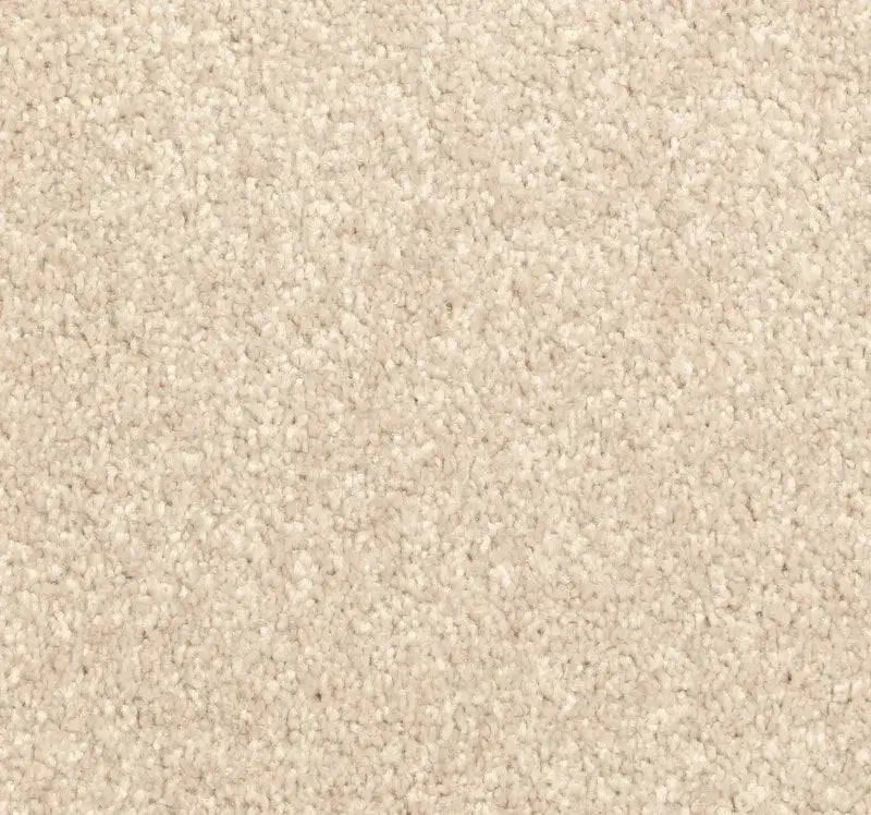 Avant Garde Carpet Signature