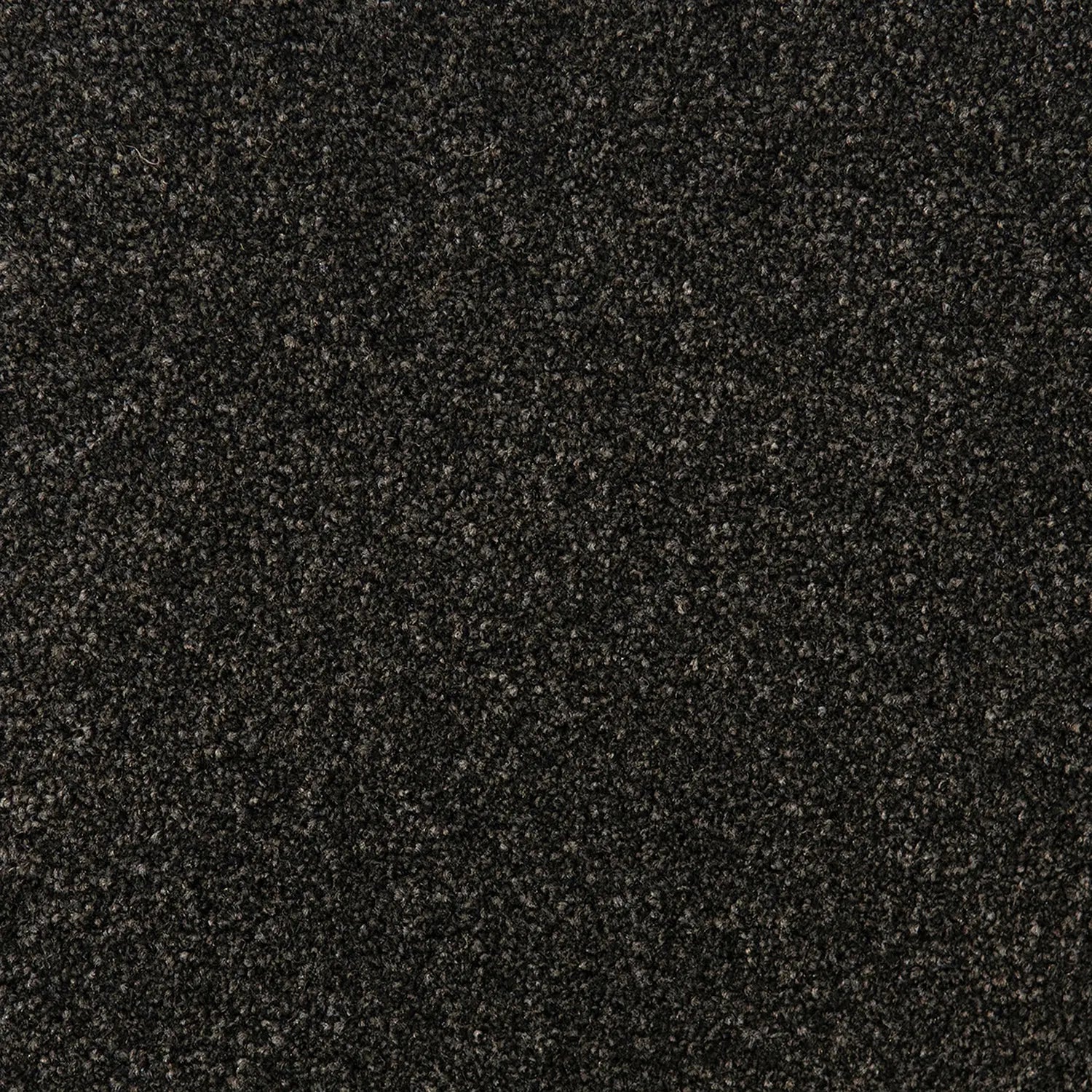 Bon Bon SDN Carpet Quest Carpets
