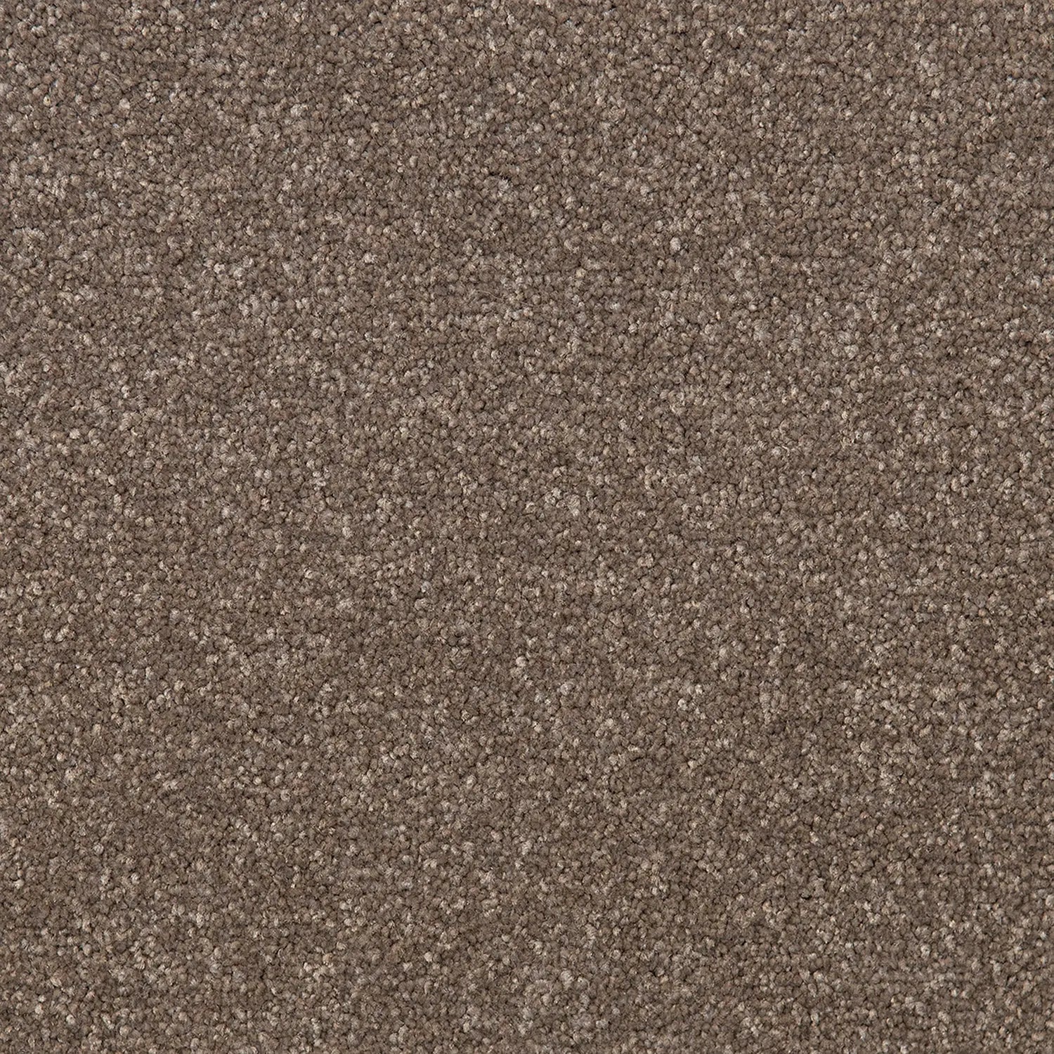 Bon Bon SDN Carpet Quest Carpets