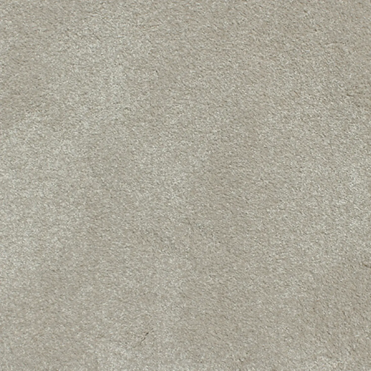 Charmeuse Carpet Signature