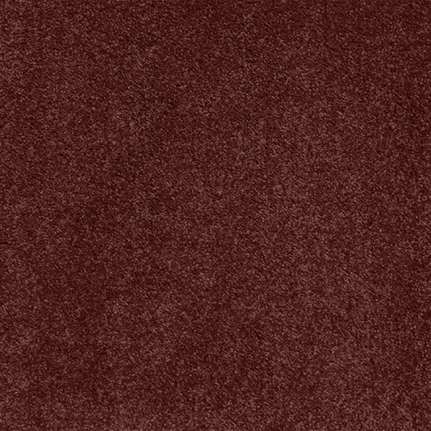 Charmeuse Carpet Signature