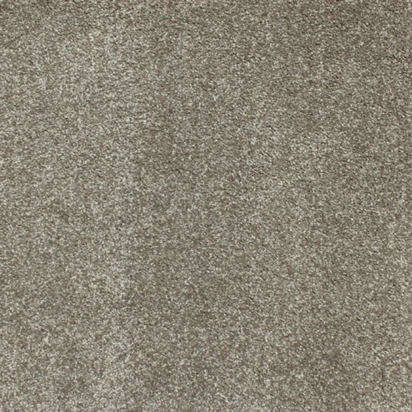 Charmeuse Carpet Signature