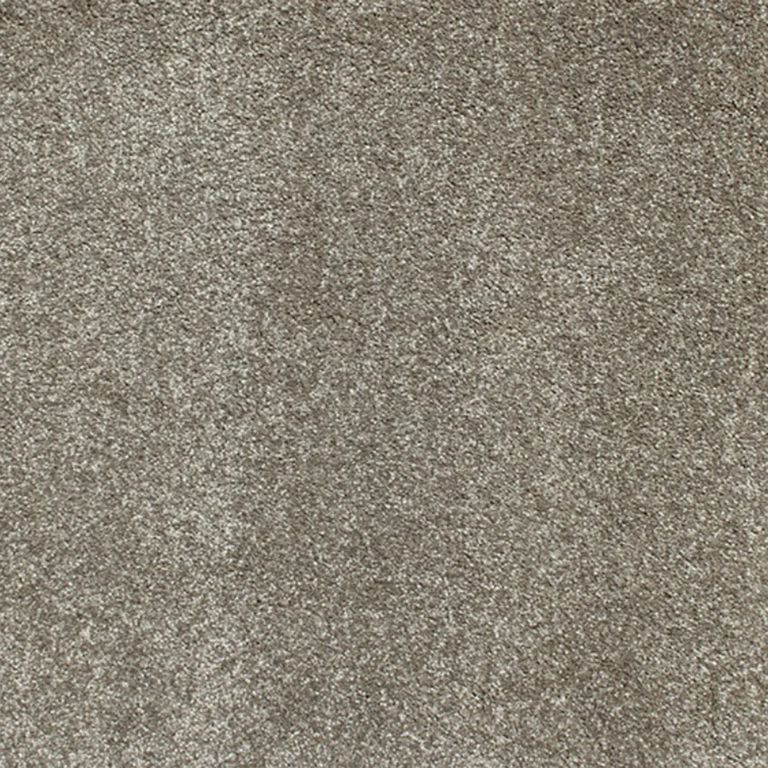 Charmeuse Carpet Signature