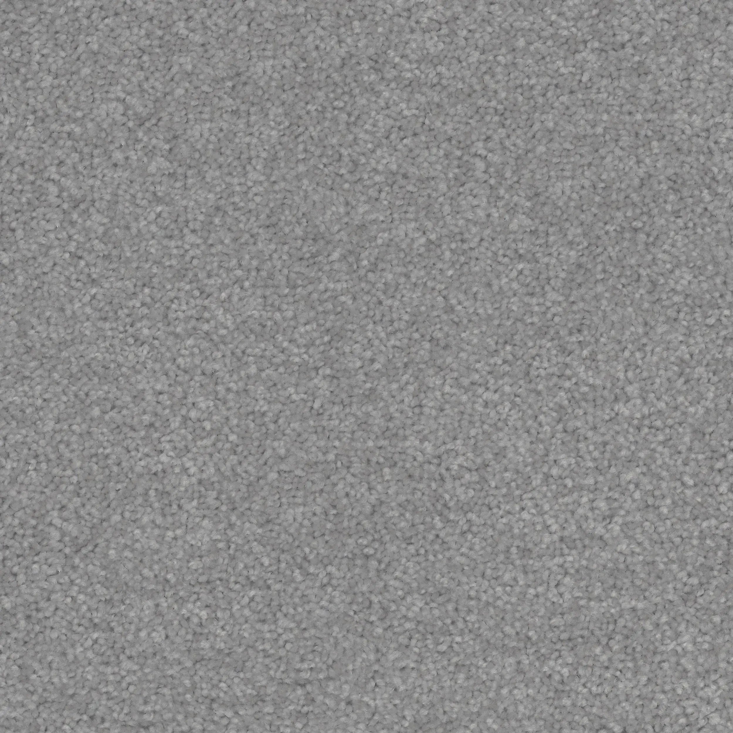 Conservatory Triexta Carpet Godfrey Hirst