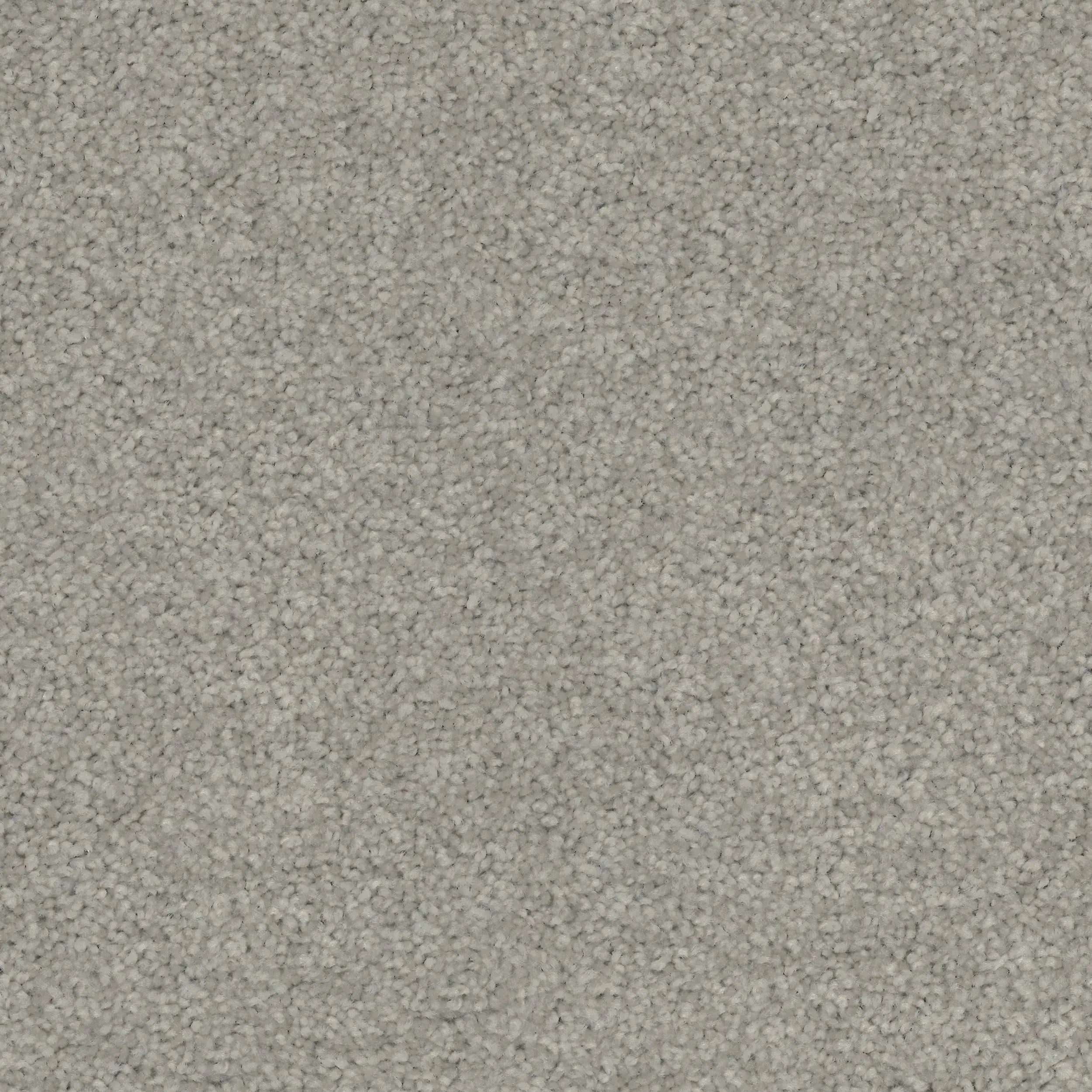 Conservatory Triexta Carpet Godfrey Hirst
