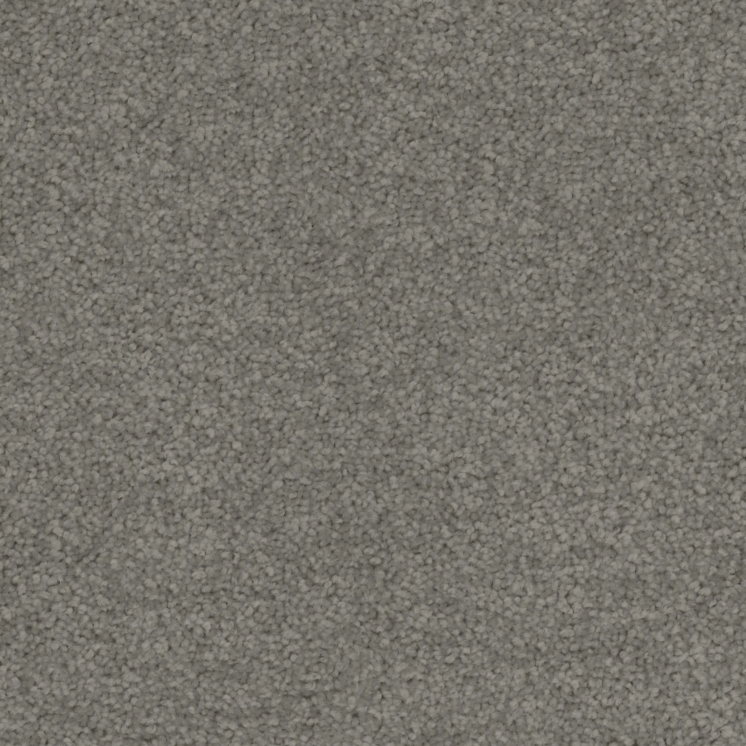 Conservatory Triexta Carpet Godfrey Hirst