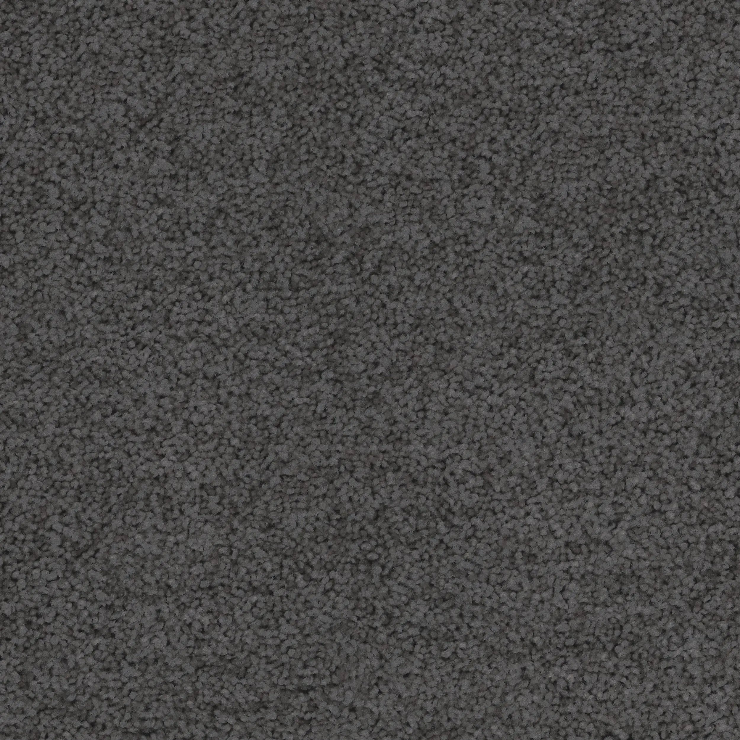 Conservatory Triexta Carpet Godfrey Hirst