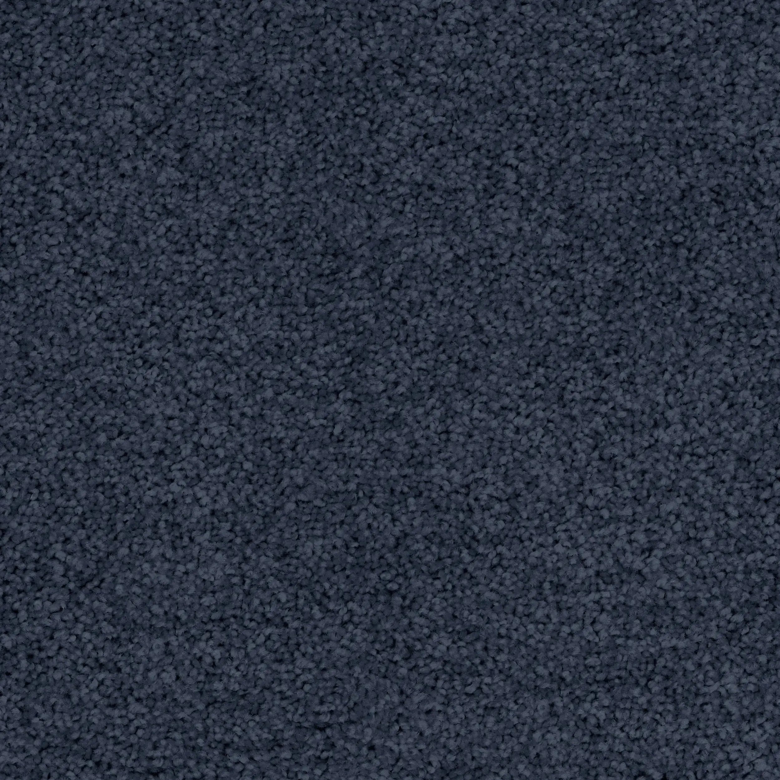 Conservatory Triexta Carpet Godfrey Hirst