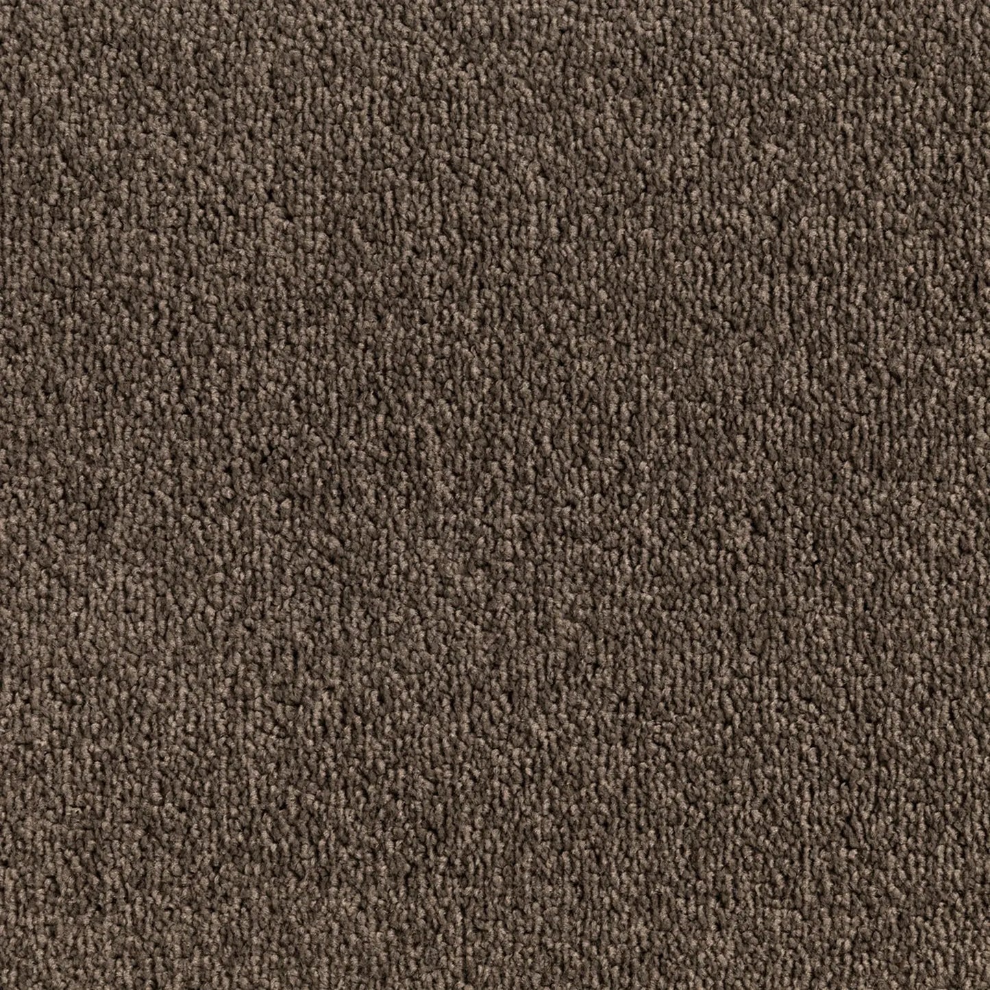 Elemental Bliss Polyester Carpet Quest Carpets