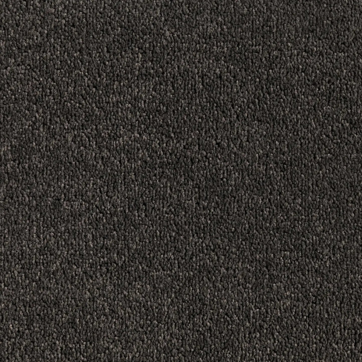 Elemental Bliss Polyester Carpet Quest Carpets