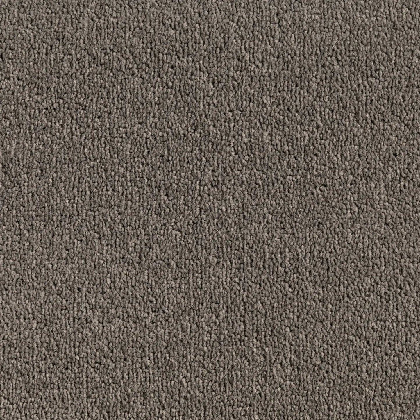Elemental Bliss Polyester Carpet Quest Carpets