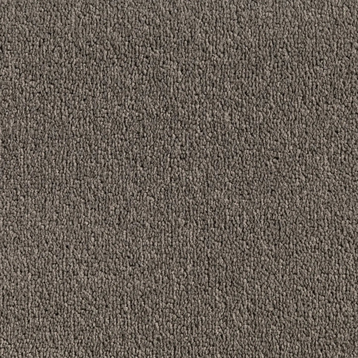 Elemental Bliss Polyester Carpet Quest Carpets