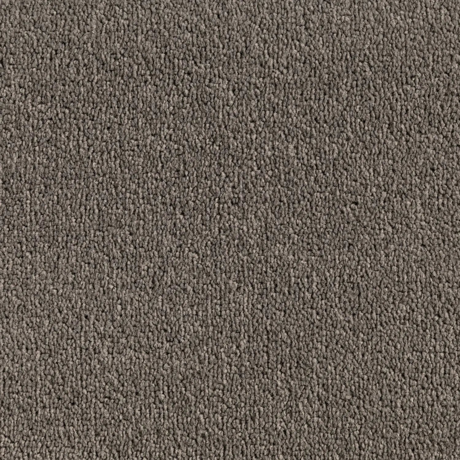 Elemental Bliss Polyester Carpet Quest Carpets