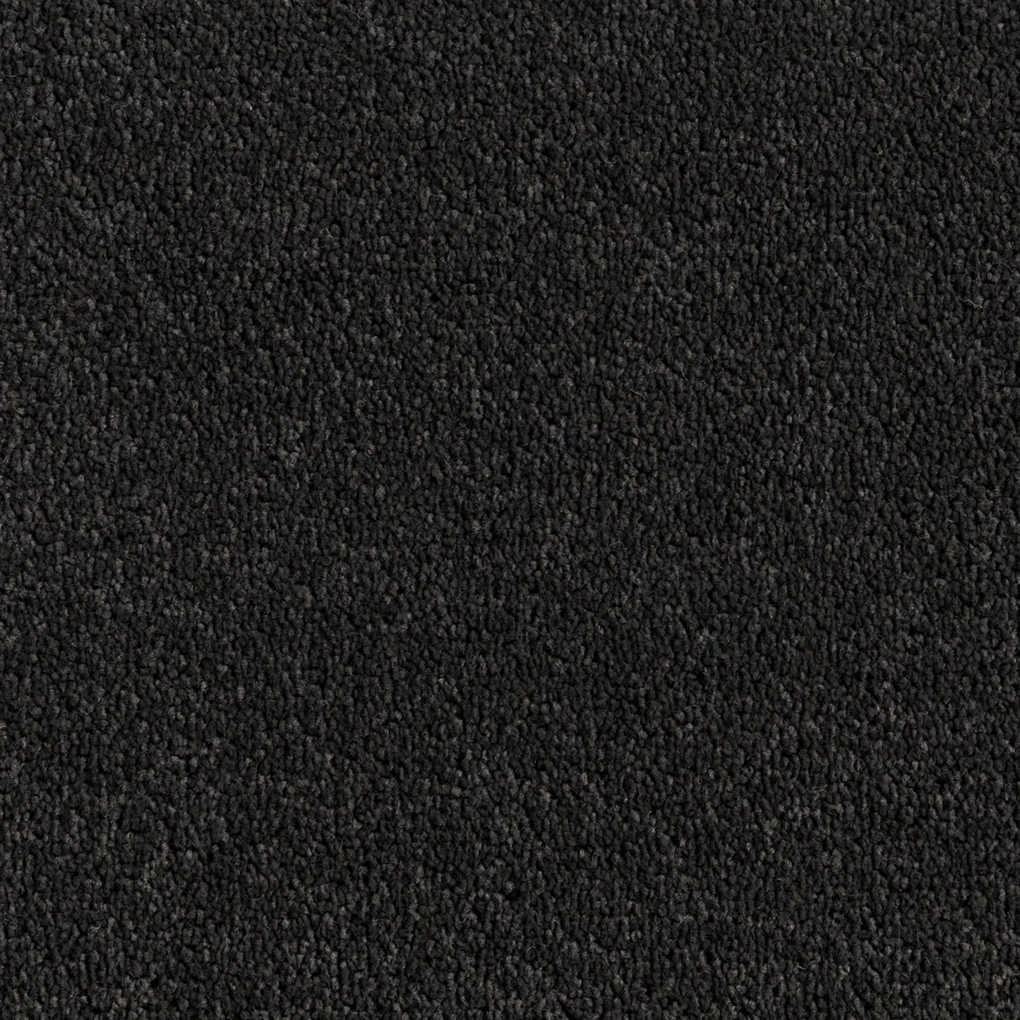 Elemental Bliss Polyester Carpet Quest Carpets