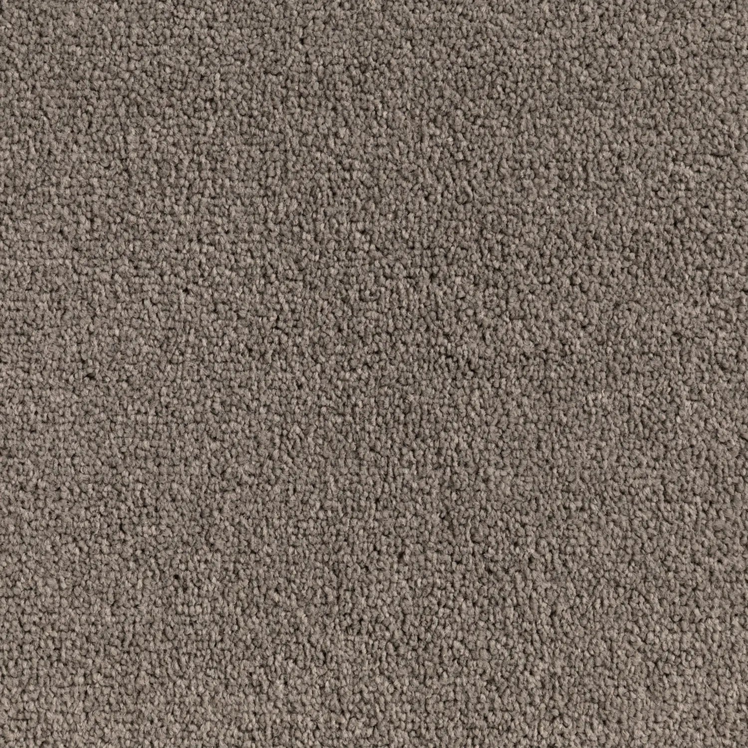 Elemental Bliss Polyester Carpet Quest Carpets