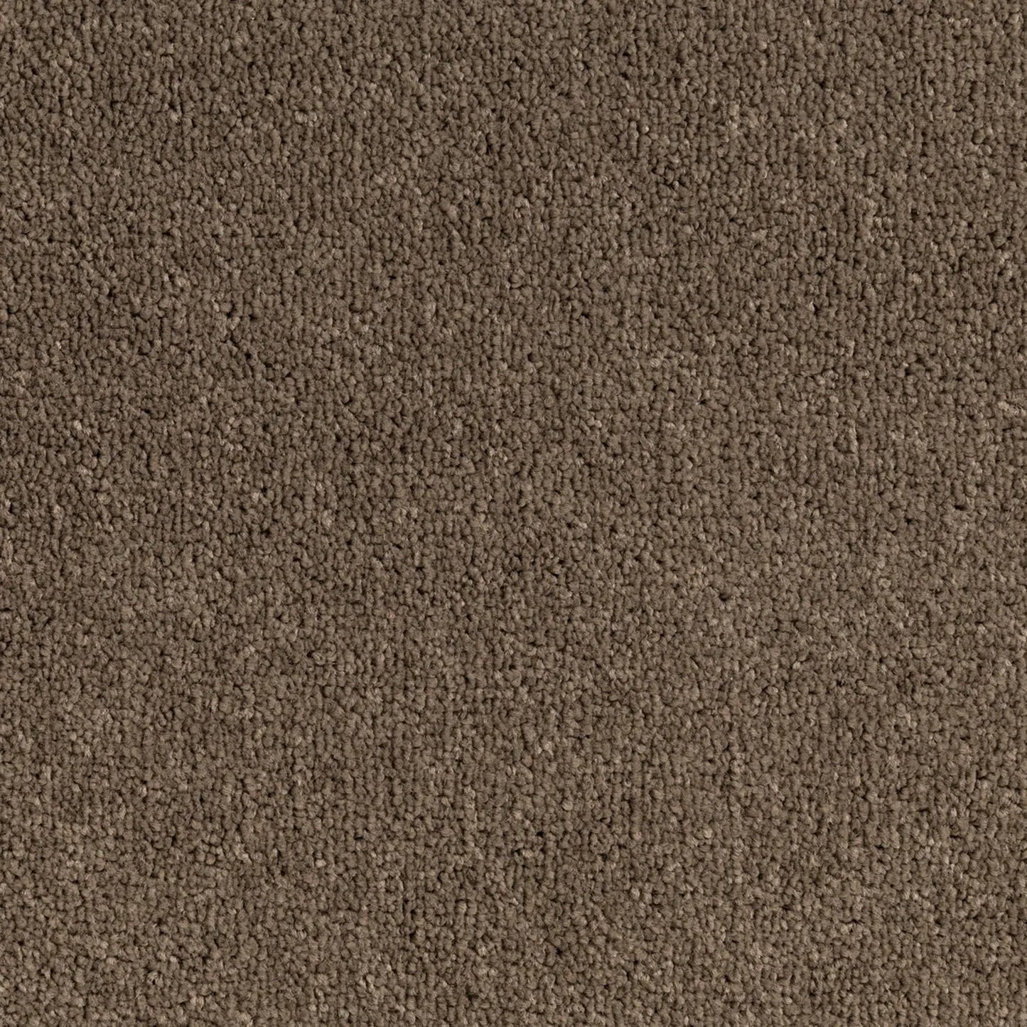 Elemental Bliss Polyester Carpet Quest Carpets