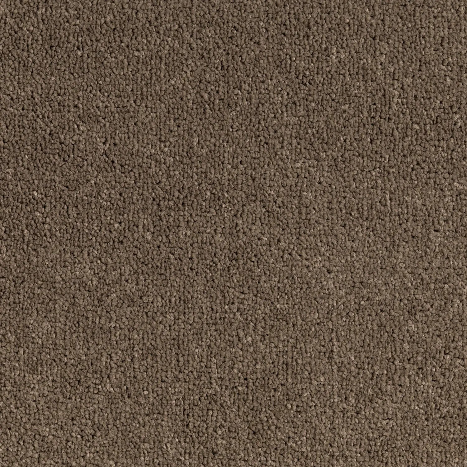 Elemental Bliss Polyester Carpet Quest Carpets
