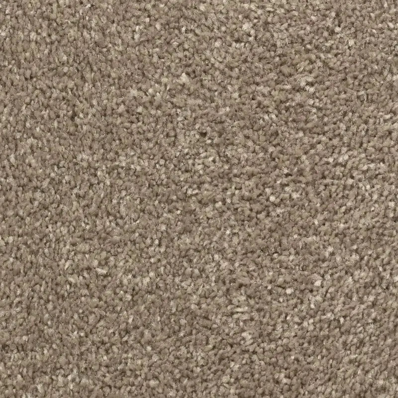 Forest Retreat Triexta Carpet Godfrey Hirst