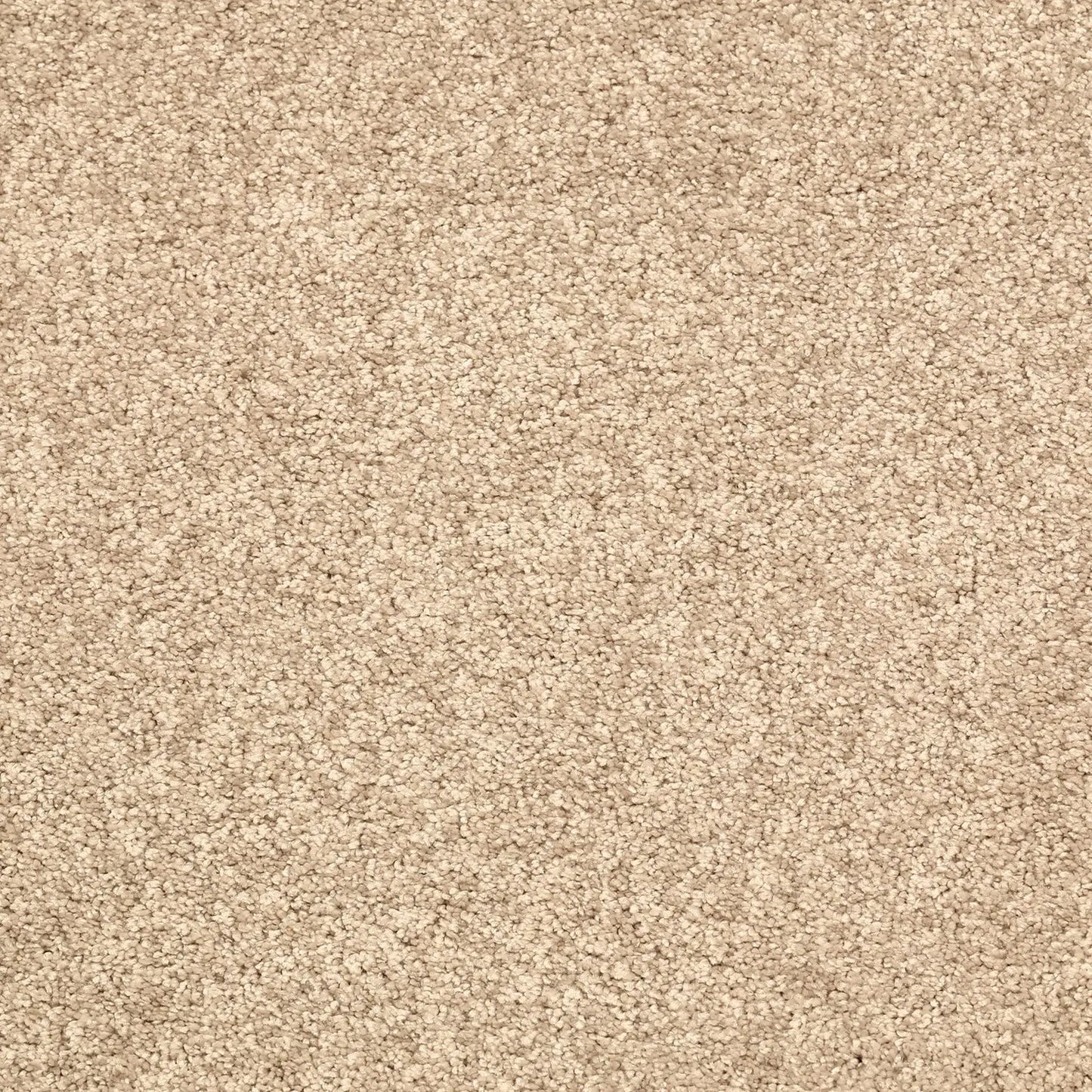 Glamour Carpet Signature