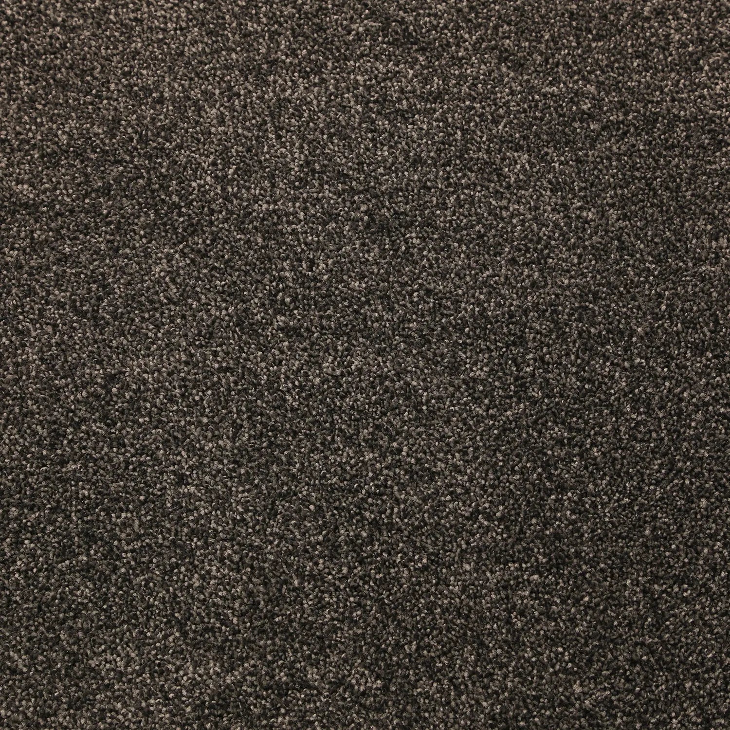 Hip Hop Carpet ADVANTAGE