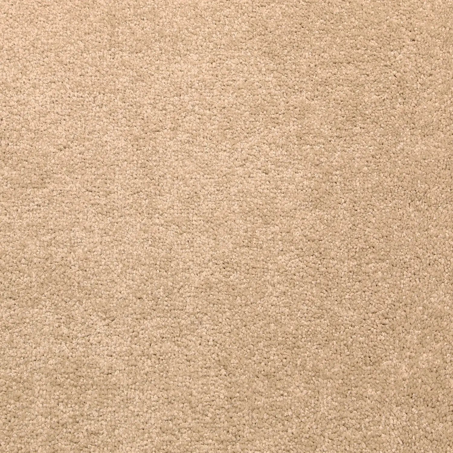 Hip Hop Carpet ADVANTAGE