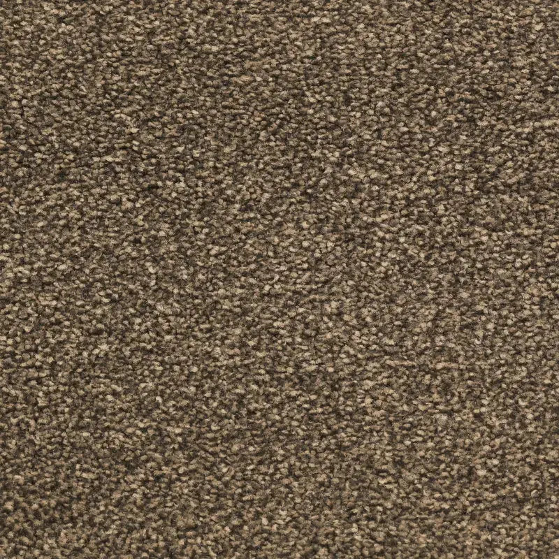 Magnolia Drive Carpet Godfrey Hirst