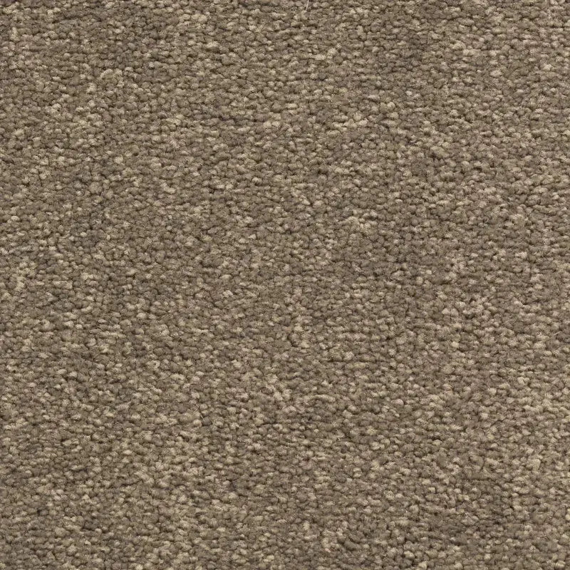 Magnolia Drive Carpet Godfrey Hirst