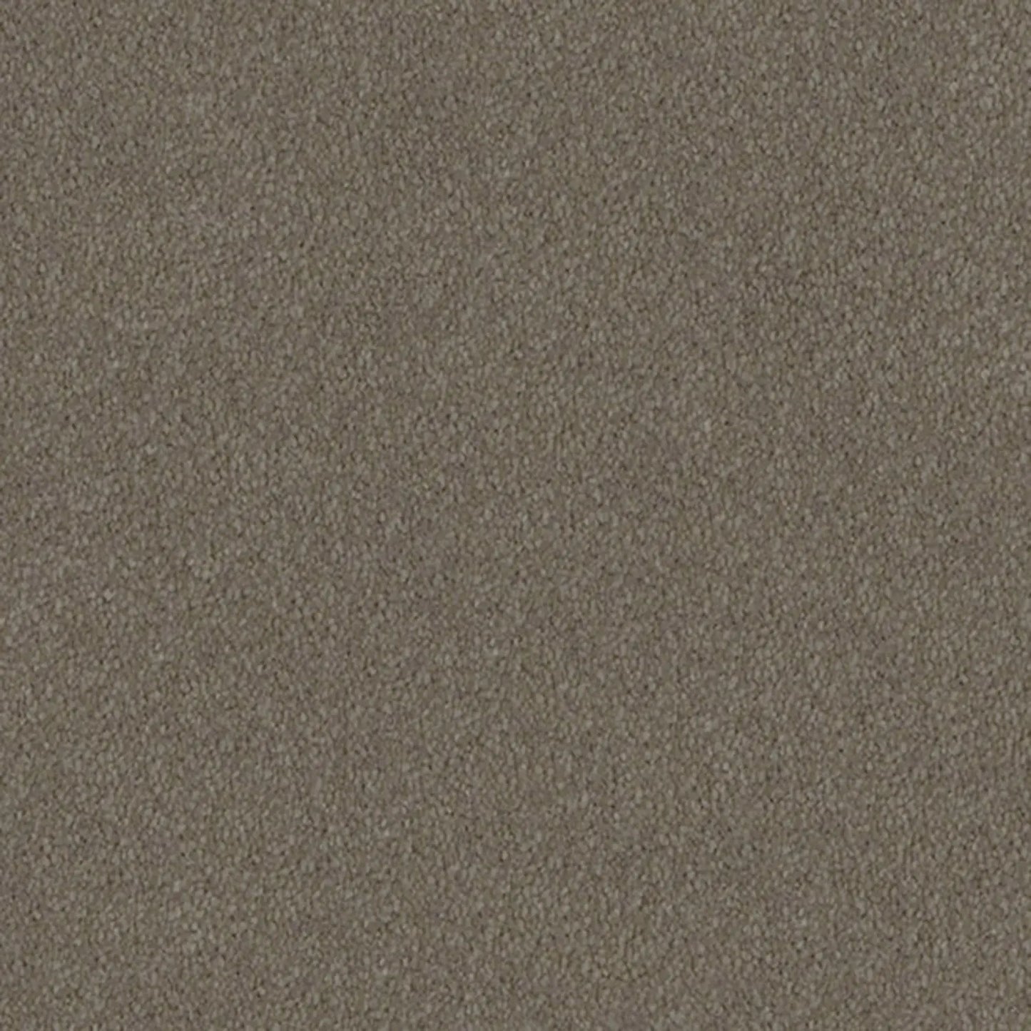 Magnolia Drive Carpet Godfrey Hirst