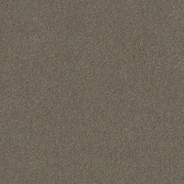 Mulberry Court Carpet Godfrey Hirst