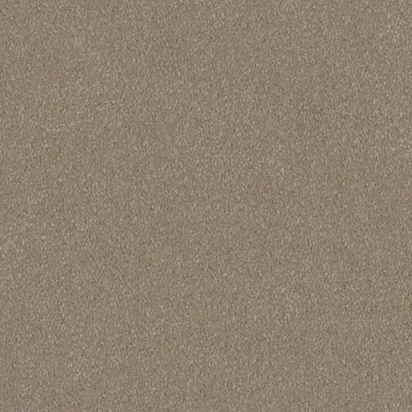 Mulberry Court Carpet Godfrey Hirst