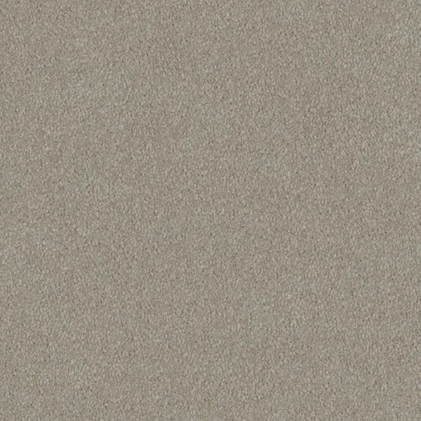 Mulberry Court Carpet Godfrey Hirst